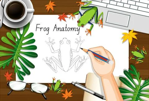 Top view office work table with office elements with green leaves and insects Stockillustratie