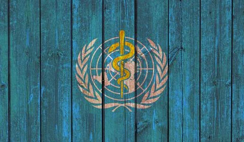 Top view of Old Painted Flag of World Health Organization on Dark Wooden Fenc Stock Illustration