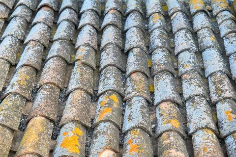Top view of old weathered lichen covered roof tiles Stock Photos