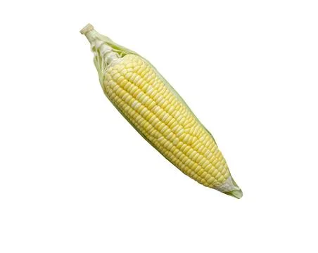 Top view one corn on brown cloth bag isolated on white background Foto stock