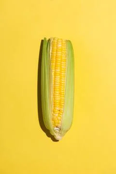 Top view of one corn on yellow background. Stock Photos