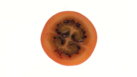 Top view of one half tamarillo fruit cross section rotating on white background. Stock Footage 161030827