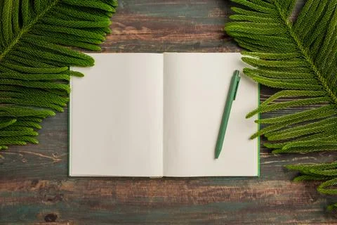 Top view open book with green pen and pine leaf on wooden table background Stock Photos