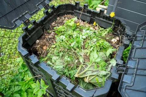 Top view open compost bin for organic waste Stock Photos