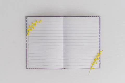 Top view Open notebook with blank pages with beautiful Yellow mimosa flowers Stock Photos