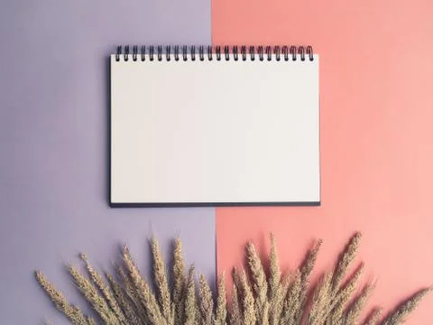 Top view of open notebook with dried flower grass on two tone background Foto stock