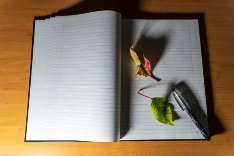 Top view of a an open notebook or diary with pen, couple of semi dried leaves Stock Photos