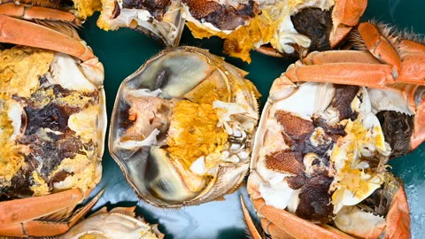 Top view opened crabs showing the crab roe and meat turning Stock Footage 142523018