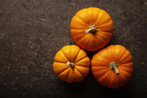 Top view of orange pumpkins with copy space. Pumpkins are widely grown for co Stock Photos