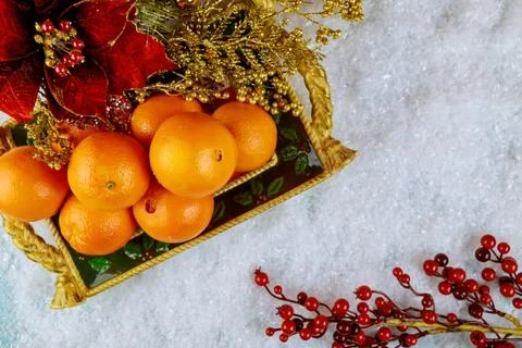 Top view of oranges in tray with red berry. Stock Photos