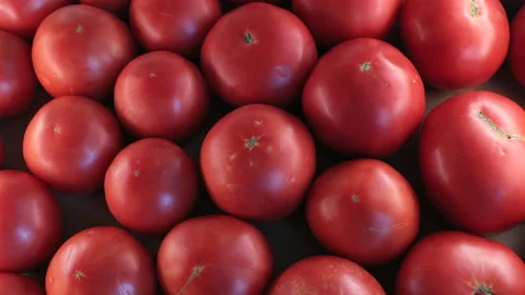 Top View of Organic Red Tomatoes. Slider Shot. 스톡 동영상 295035581