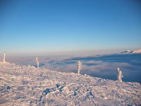 Top view over cloud cover in the mountains. Icy fence posts on the hillside.  Stock Photos