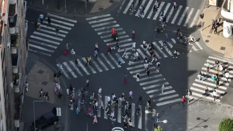 Top view over a crowd pedestrian crossing road intersection, Belgrade. Aerial Stock Footage 254360387