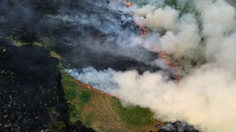 Top view over the field with a line of fire Stock Footage 155849275
