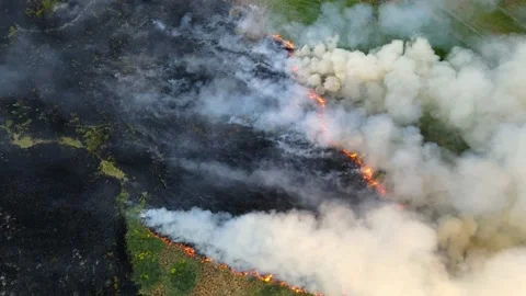 Top view over the field with a line of fire Stock Footage 156063967