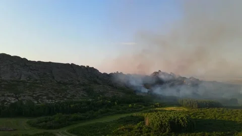 Top view over the field with a line of fire Stock Footage 157869801