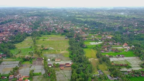 Top view over landscape, green rice fields and houses Stock Footage 263696545