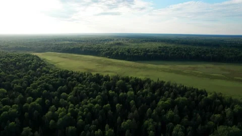 Top view over large colorful swamp at edge of forest. Stock Footage 161054591