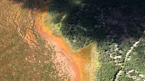 Top view over large colorful swamp at edge of forest. Stock Footage 164598731