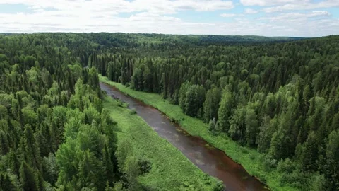 Top view over river flowing in forest. Aerial view. Stock Footage 161568164