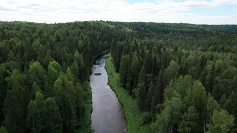 Top view over river flowing in forest. Aerial view Stock Footage 161781794