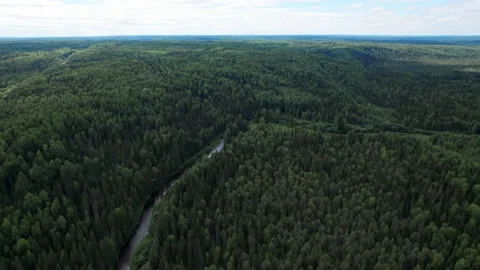 Top view over river flowing in forest. Aerial view Stock Footage 162220687