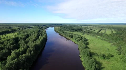 Top view over river flowing in forest. Aerial view Stock Footage 162730933