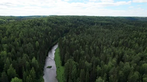 Top view over river flowing in forest. Aerial view Stock Footage 162959979