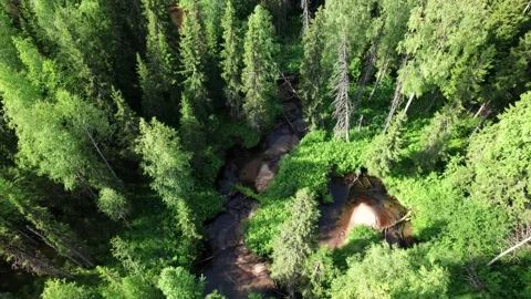 Top view over river flowing in forest. Aerial view Stock Footage 163433231