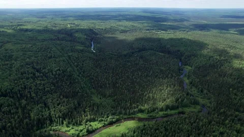 Top view over river flowing in forest. Aerial view Stock Footage 164598472