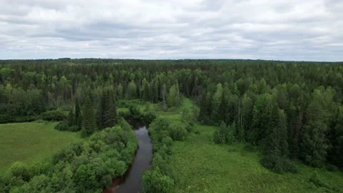 Top view over river flowing in forest. Aerial view Stock Footage 164598543