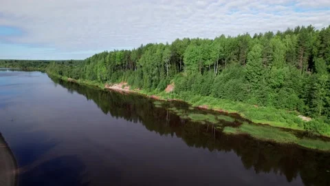 Top view over river flowing in forest. Aerial view Stock Footage 164598838