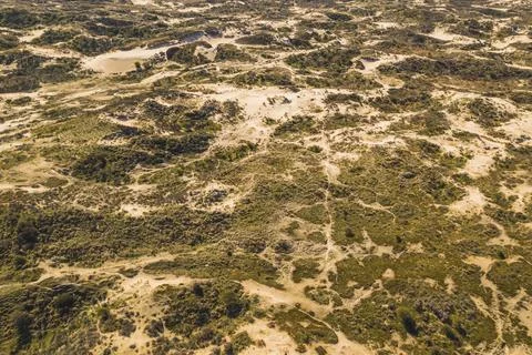 Top view over a sand dune of Netherlands Stock Photos