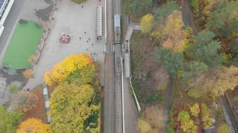 Top view over Tram Driving in Autumn, Aerial Stock Footage 143725946