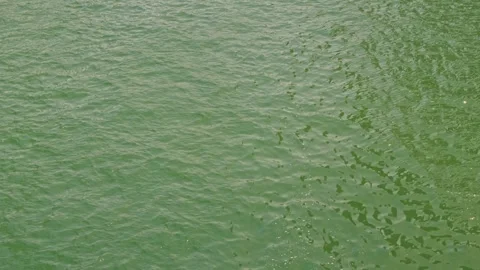 Top view over water surface. Close up top view over river, on summer day Stock Footage 306117681