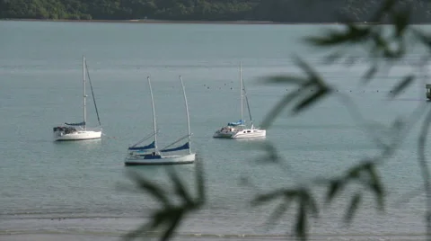 Top view over the yachts moored in a bay. Stock Footage 67267536