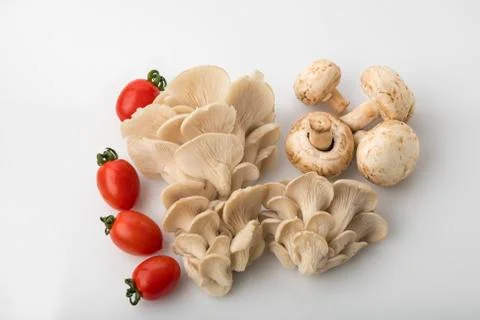 Top View of Oyster and Button Mushrooms with Red Baby Tomatoes Stock Photos