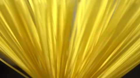 Top view A pack of uncooked spaghetti abstract background of spaghetti pasta rot Stock Footage 246234686