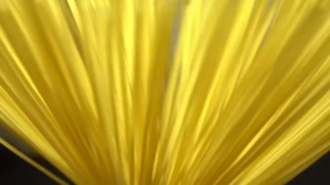 Top view A pack of uncooked spaghetti abstract background of spaghetti pasta Stock Footage 246506009