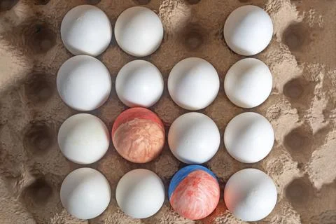 Top view of painted Easter egg with white egg in carton. Stock Photos