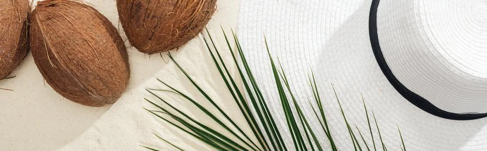 Top view palm leaf coconuts Stock Photos