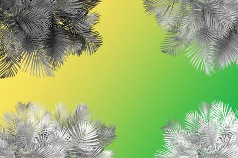 Top view palm leaves tree for summer background Stock Photos