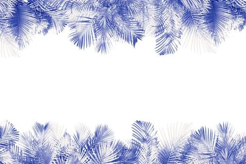 Top view palm leaves tree for summer background Foto stock