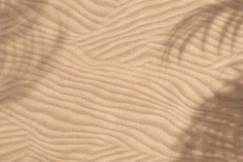 Top View of Palm Tree Leaf Shadow on Sand Background. 3d Rendering Stock Illustration