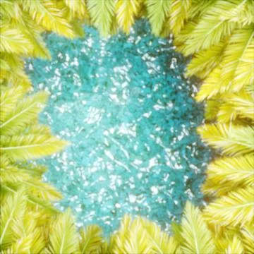 Top view of palm trees and the sea. Place for text. The concept of tourism and 스톡 일러스트