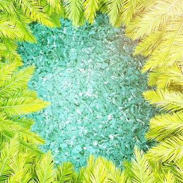 Top view of palm trees around the water. Place for text. The concept of tourism 스톡 일러스트