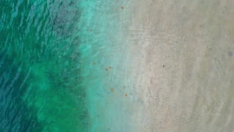 Top View of Panama Shallow Water and Starfish. Top-down view of shallow Panama Stock Footage 334812634