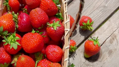 Top view panorama of the basket with large strawberries laying on the table Stock Footage 144875410