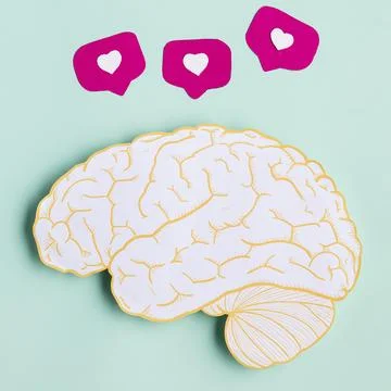 Top view paper brain shape. High quality and resolution beautiful photo conce Stock Photos