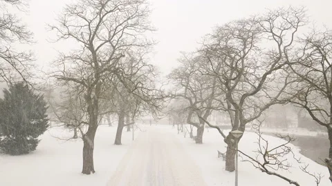 Top view of park in Amsterdam during heavy snowfall. Netherlands. Stock Footage 148270437